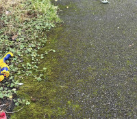 Power Washing