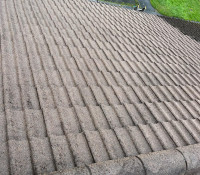 Roof Cleaning