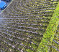 Roof Cleaning