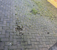 Power Washing