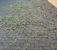 Pressure Washing